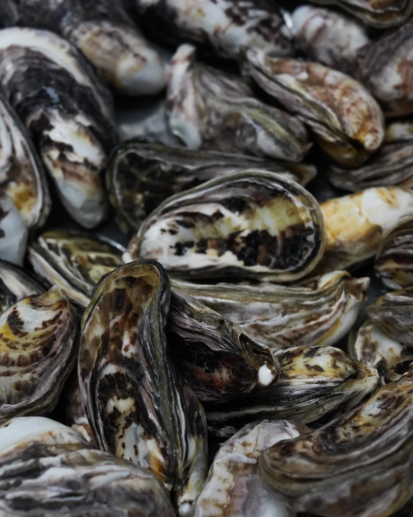 While Rātā is being refreshed, we&rsquo;re taking time to reflect on the flavours that shape us.

A moment to honour the abundance we&rsquo;re surrounded by and the character of the South.

Our doors will open again on the 12th of November.