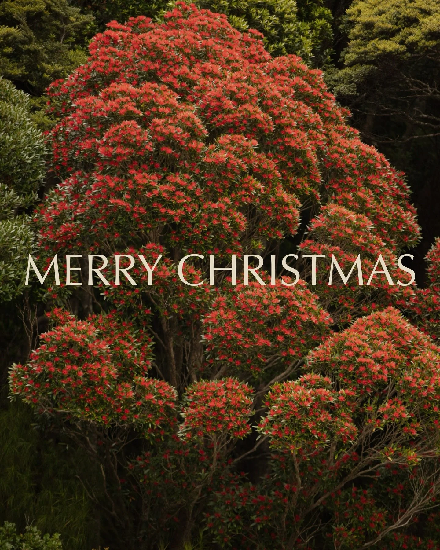 Wishing our local community, friends, and whānau a restful Christmas. Thank you for dining with us, supporting the team, and being part of what makes Rātā what it is.