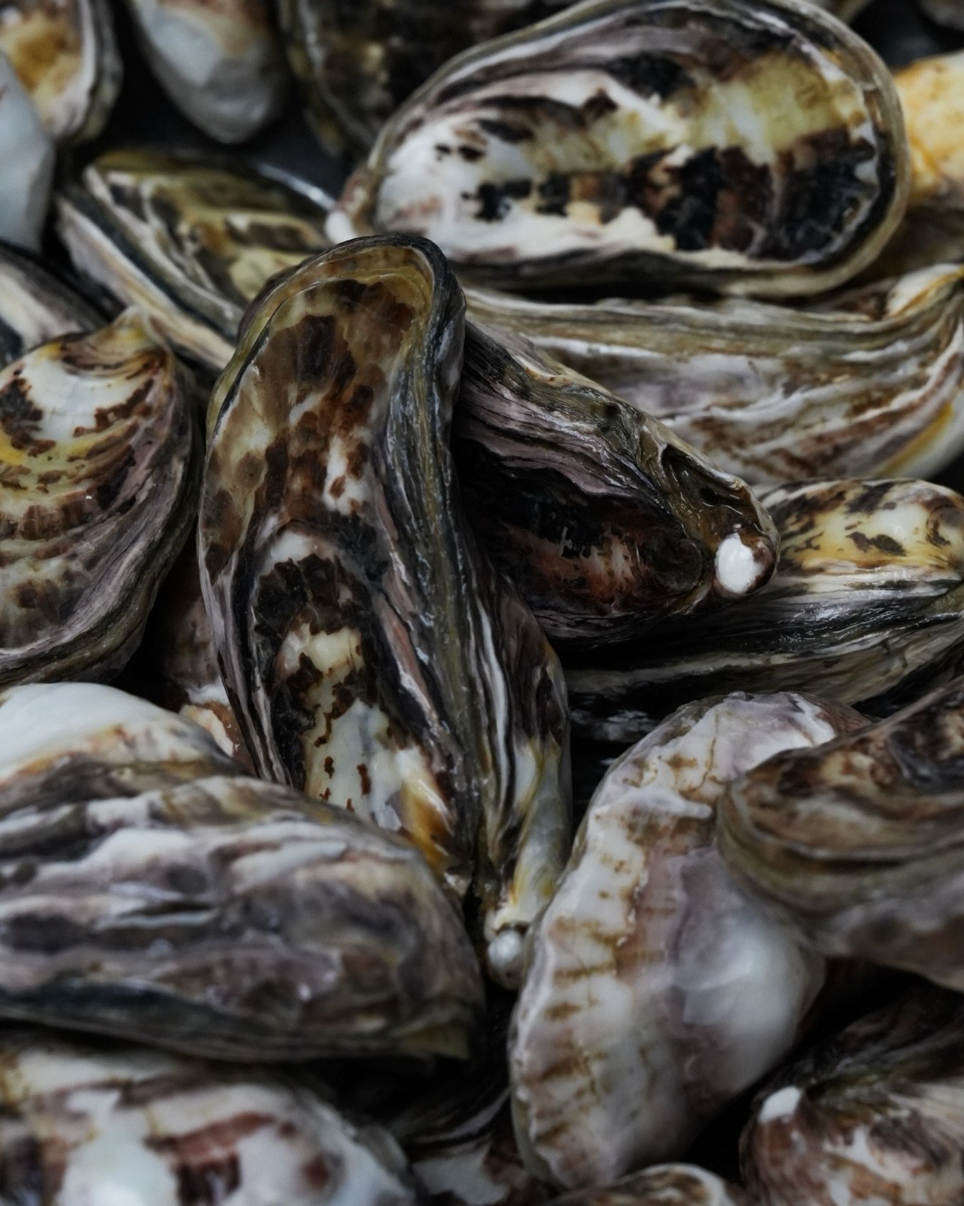 &lsquo;At Rātā, the process often starts not with an idea for a dish, but with an ingredient and the person behind it.
Royalburn lamb, wild venison, oysters, crayfish and locally grown fruit and vegetables become a way of telling the story of souther
