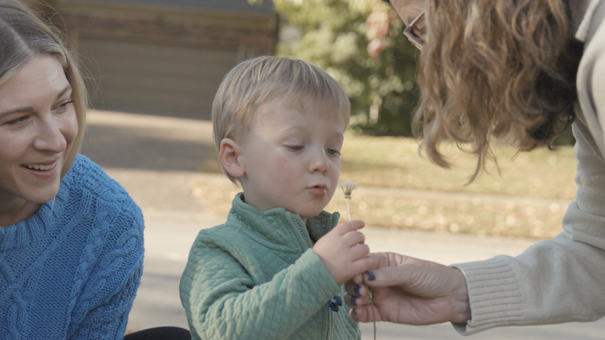 kentucky-generational-family-film-dandelion-outside.png