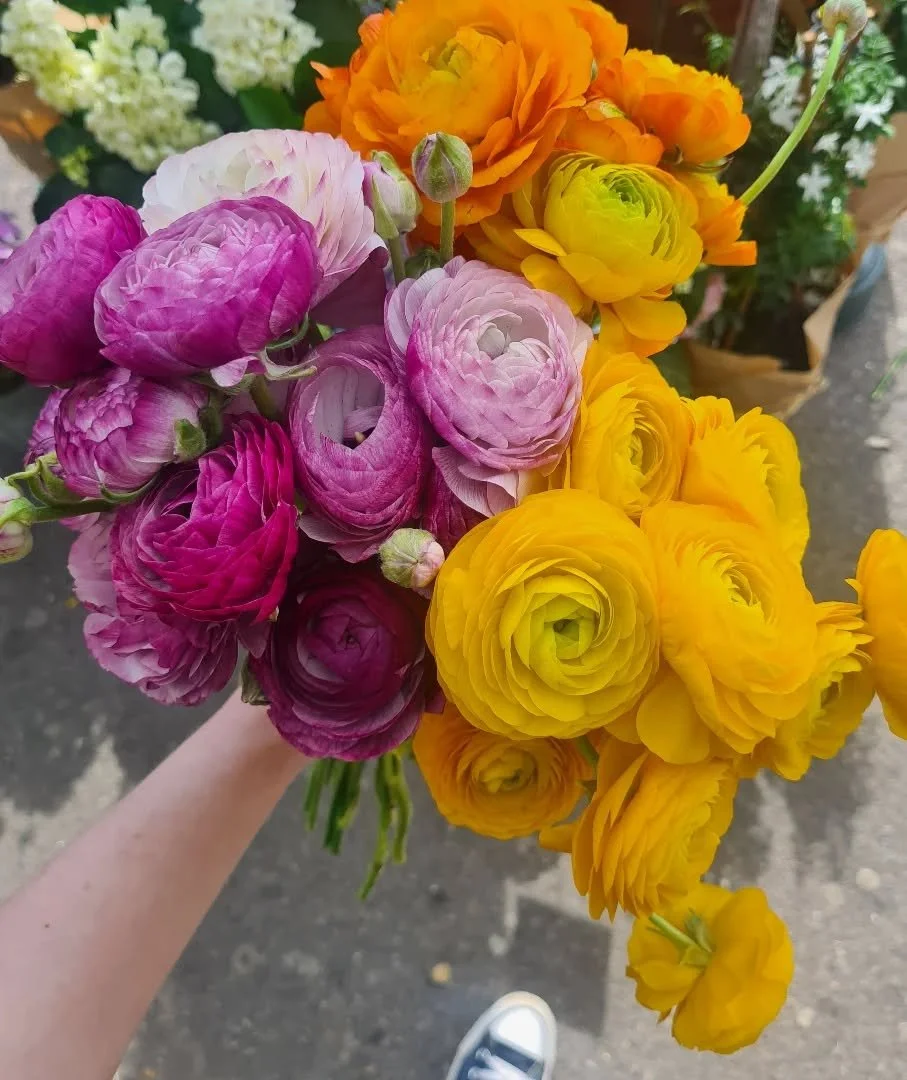 A new year, new plans, and exciting things in motion...p.s. counting down to soft stem season 🌷

#york #yorkflorist #yorkindependent #florist #flowers