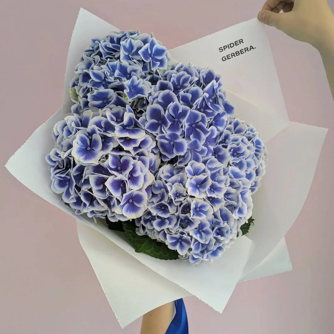 Today's favourites - two-toned Hydrangea and Garden Roses

#monoflowers #hydrangea #roses #york #yorkflorist