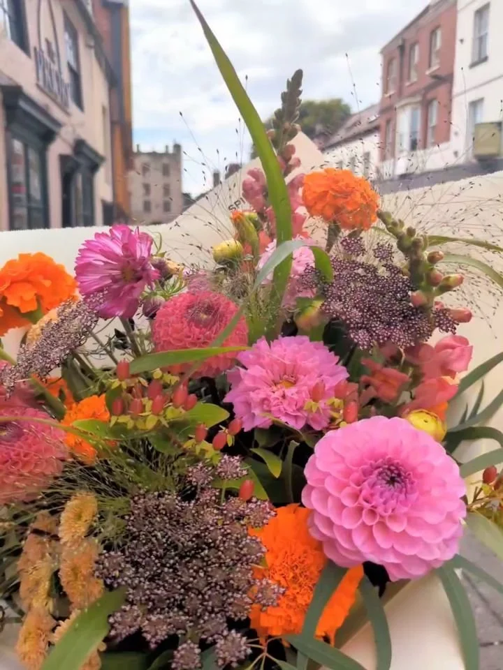 Another lovely day (and dahlia) on Micklegate. we've had some beauties in the shop this week. Pop down and have a look 👀

#york #yorkflorist #yorkflowers #shopsmallyork #spidergerbera