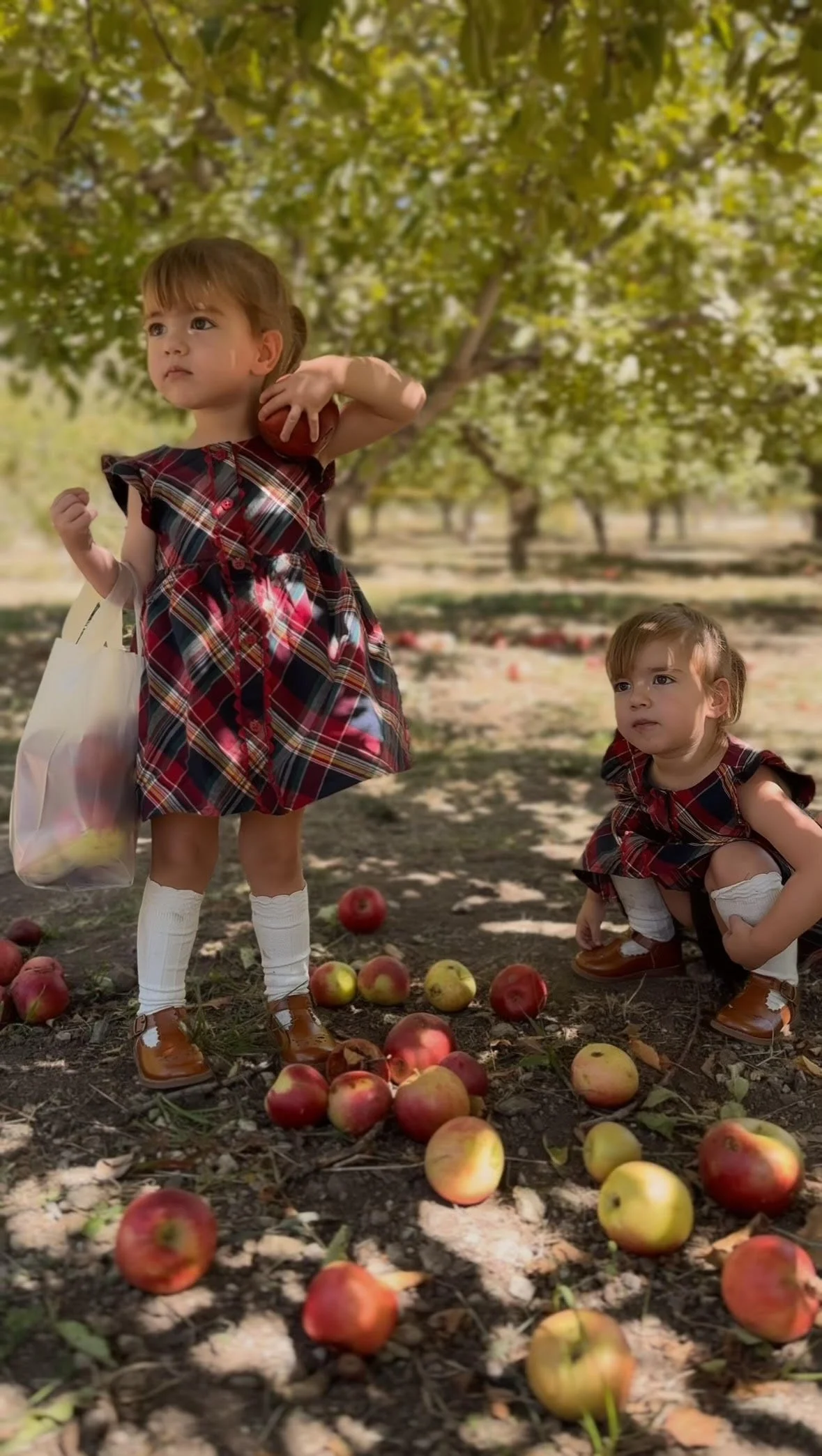 Two young girls dressed in plaid dresses picking apples in an orchard with fallen apples on the ground.