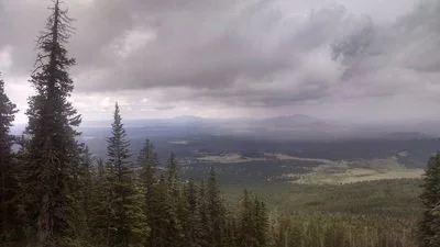 View of a forest with tall pine trees overlooking a valley under cloudy skies.