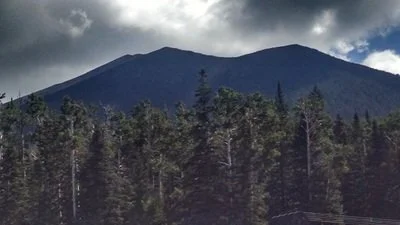A mountain in the background with a forest of pine trees in the foreground and partly cloudy sky above.