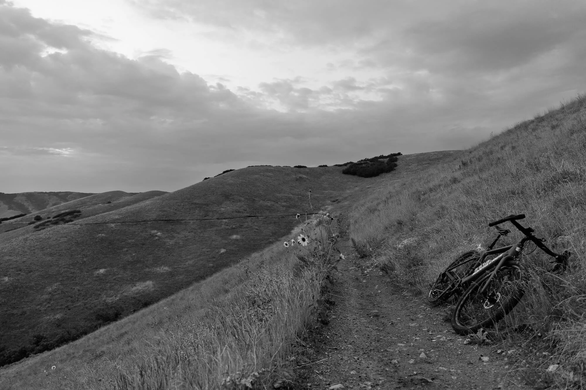 A black and white photo of a mountain bike leaning against a grassy hillside on a dirt trail with rolling hills and cloudy sky in the background.
