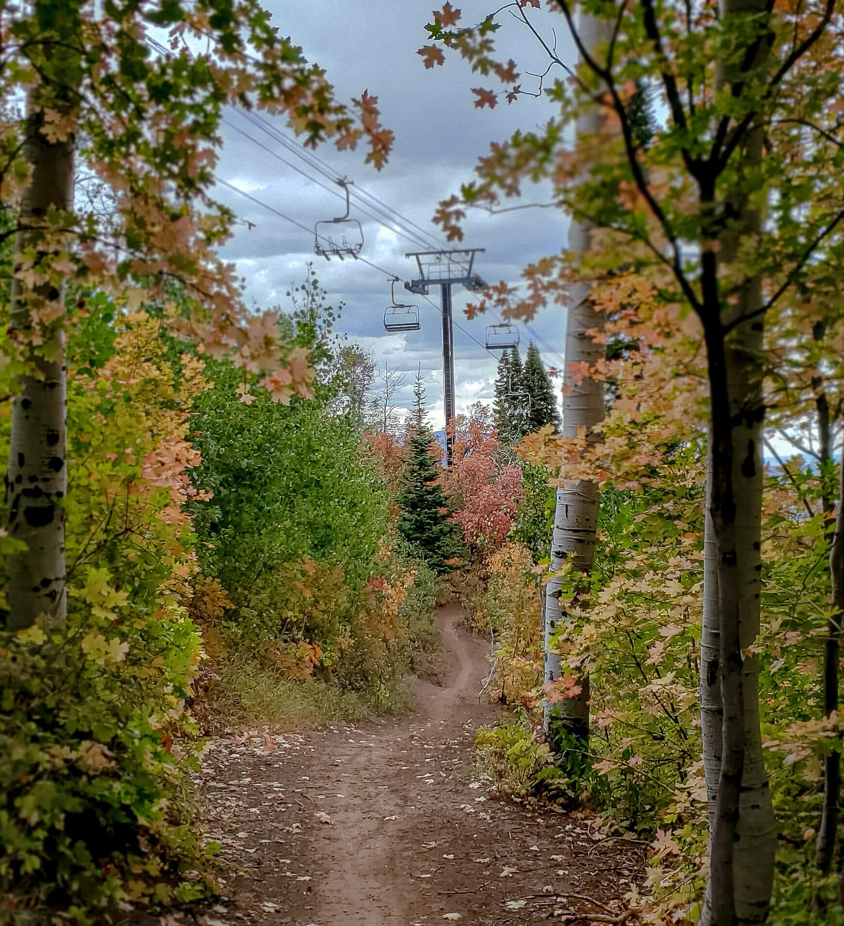 Mountain bike trail winding through fall colors beneath a ski lift.