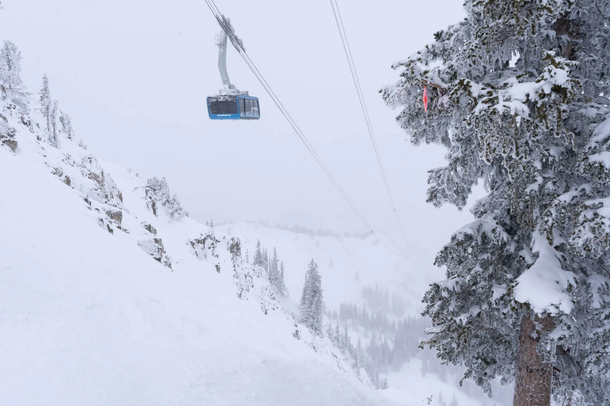 Snow-covered mountain landscape with a ski lift and snow-laden trees.