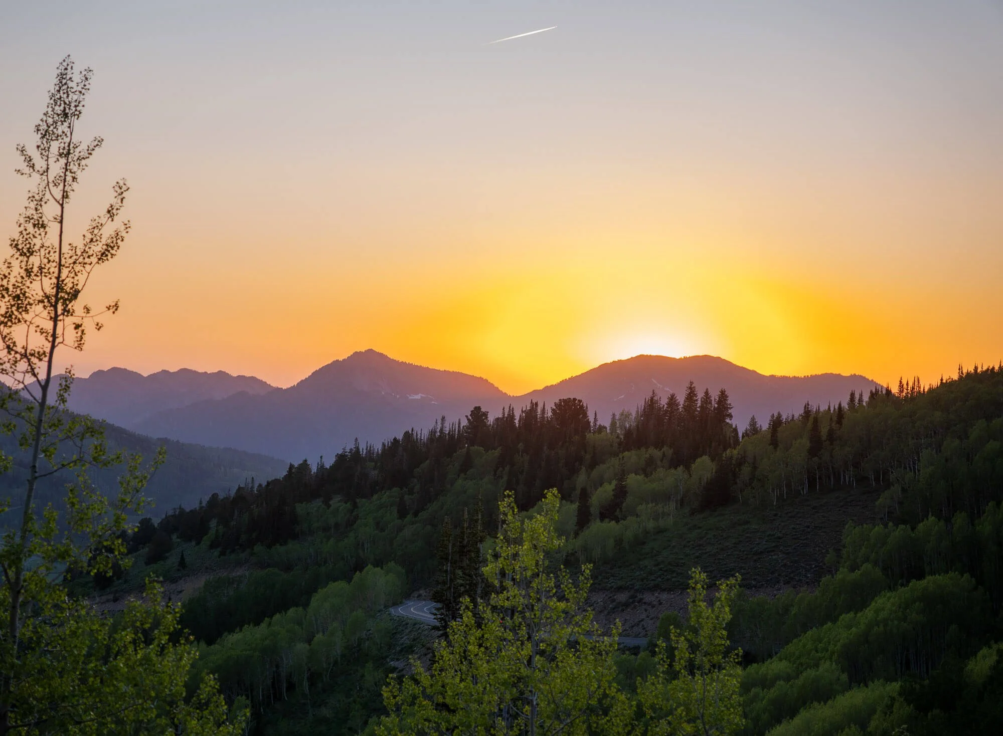 Sunset over mountain range with green forested hills and trees in the foreground.