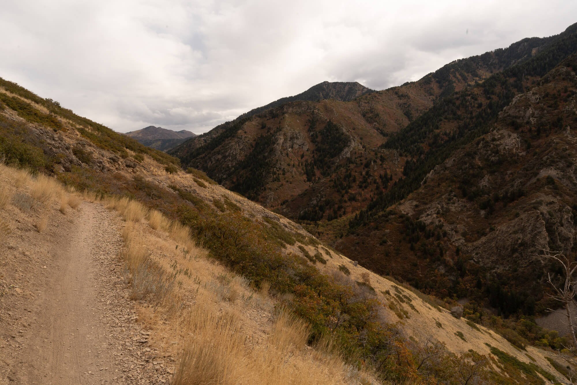 Dirt trail winding through dry grass on a hillside with brown and green mountain ranges under cloudy sky in the distance.