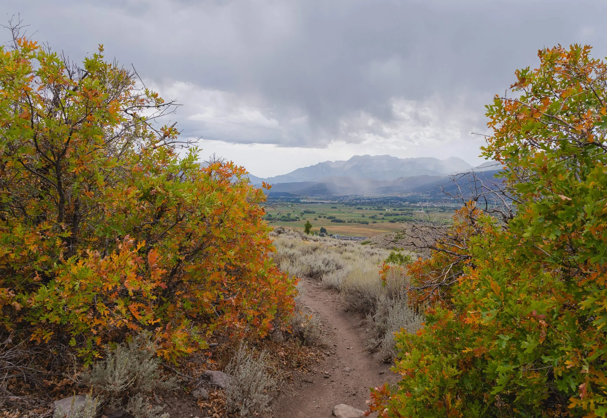 A dirt trail in a shrub-filled valley with colorful autumn leaves, leading towards distant mountains under a cloudy sky.