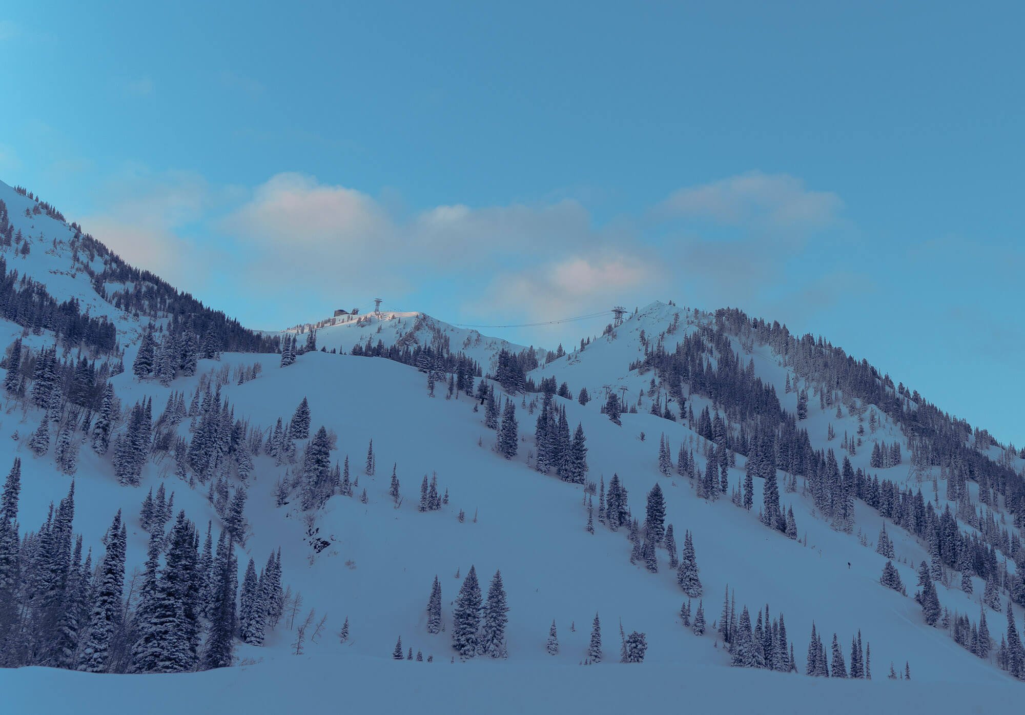 Snow-covered mountain with pine trees and ski lift cables under a blue sky with clouds.