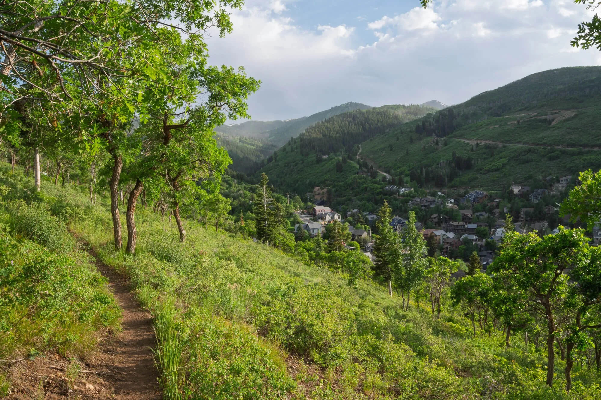 A scenic landscape of a hillside trail with green trees in the foreground and a small town nestled in a valley surrounded by green mountains in the background under a partly cloudy sky.
