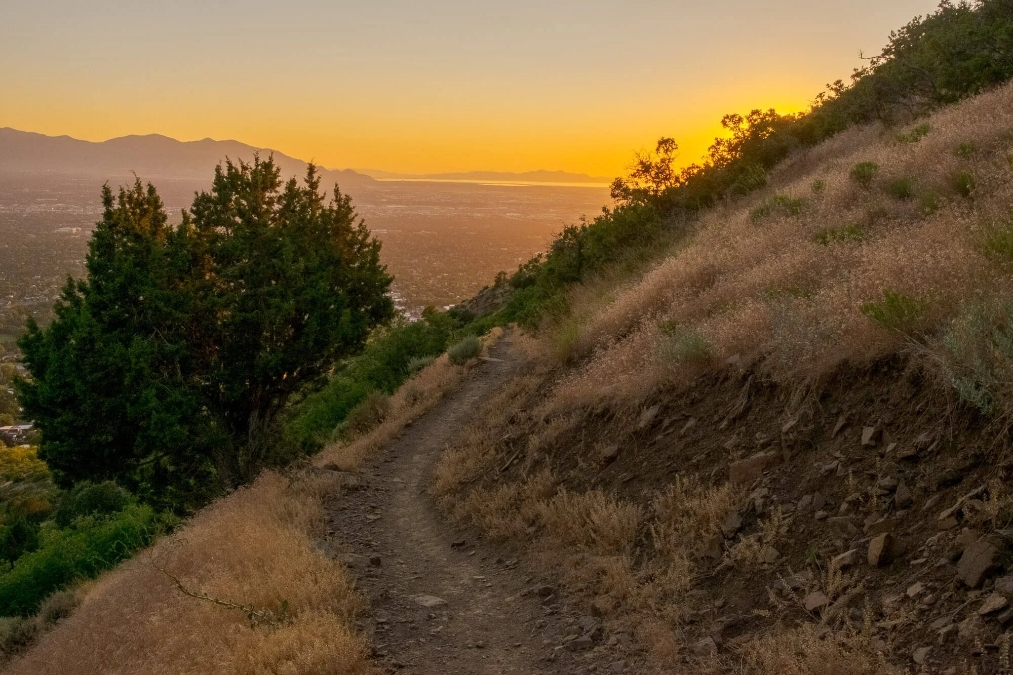 A dirt trail on a hillside at sunset, with trees and dry grass on either side, overlooking a valley with mountains in the distance.