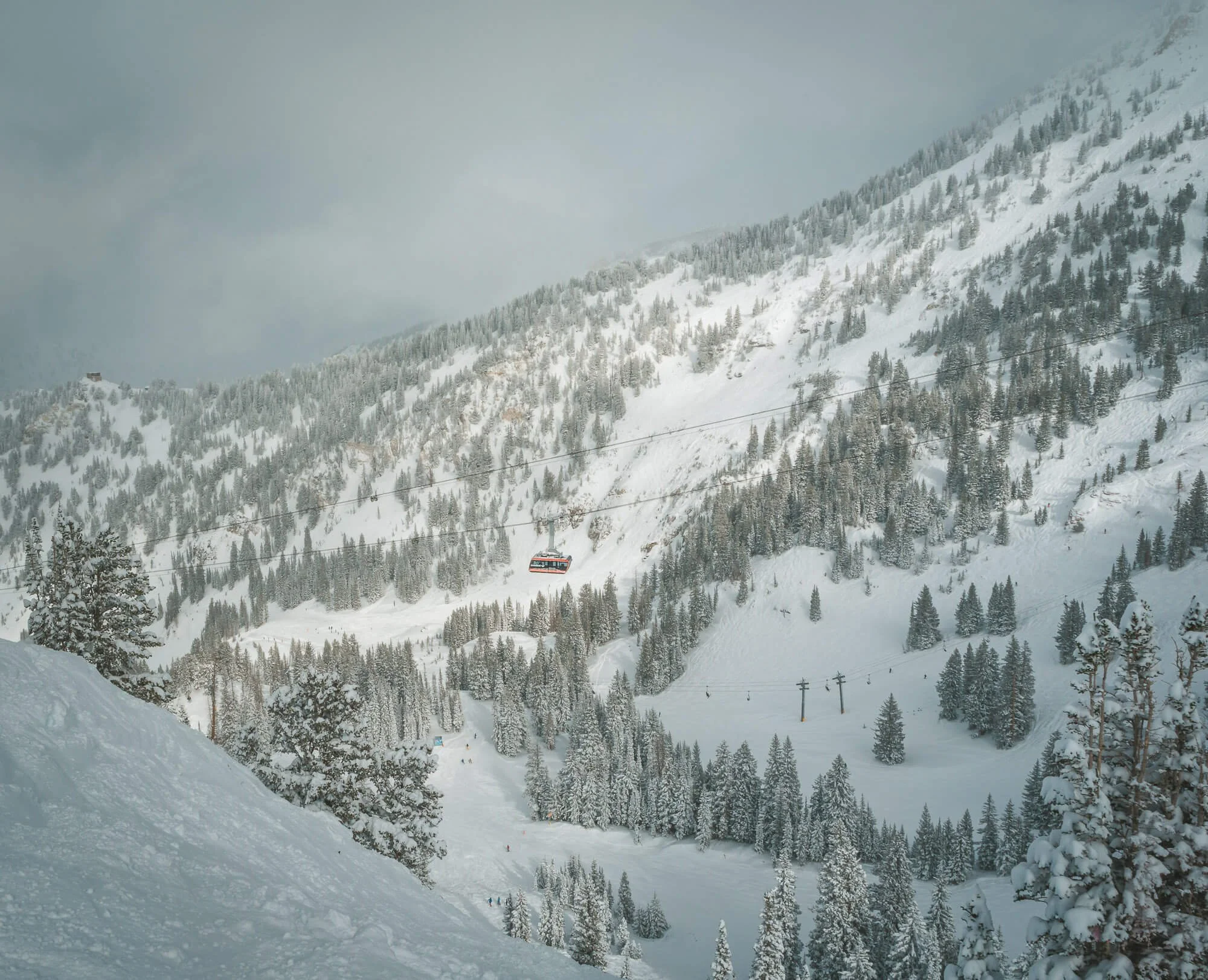 Snow-covered mountain landscape with ski lift and snow-covered pine trees, cloudy sky.