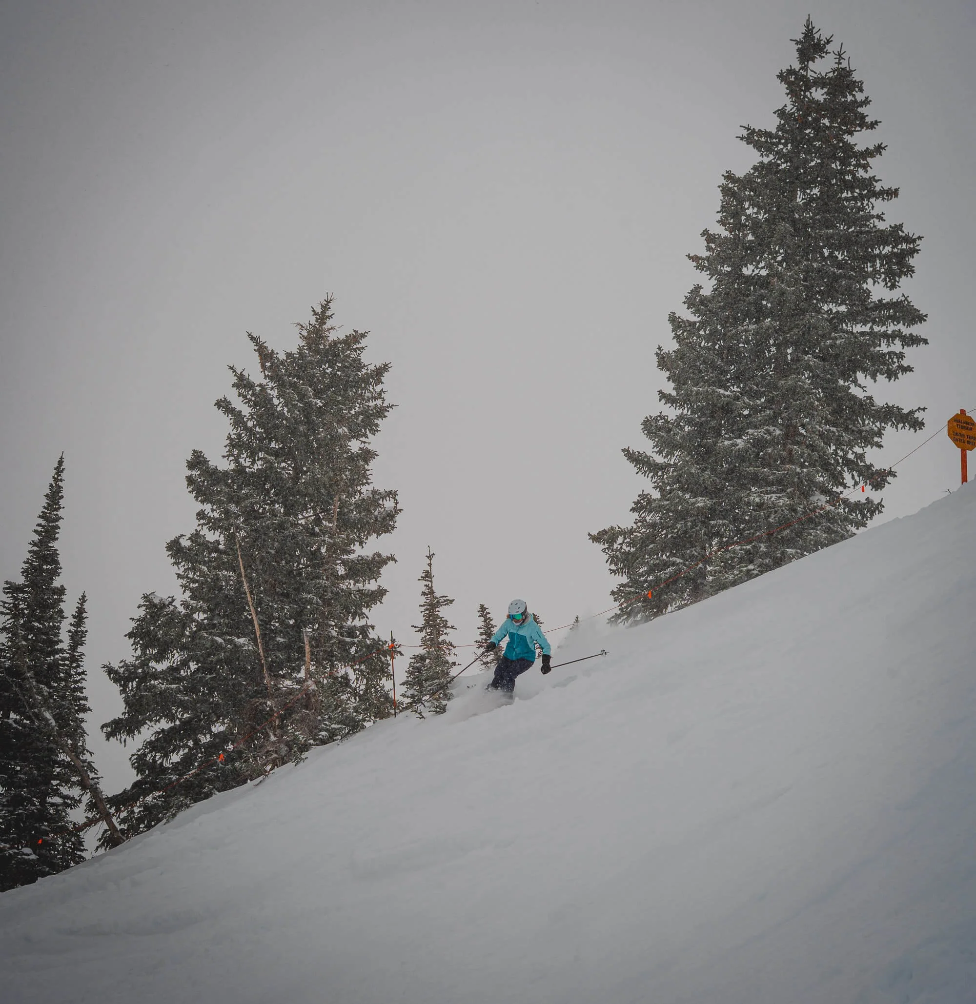 A person skiing down a snowy slope surrounded by tall evergreen trees and foggy weather.