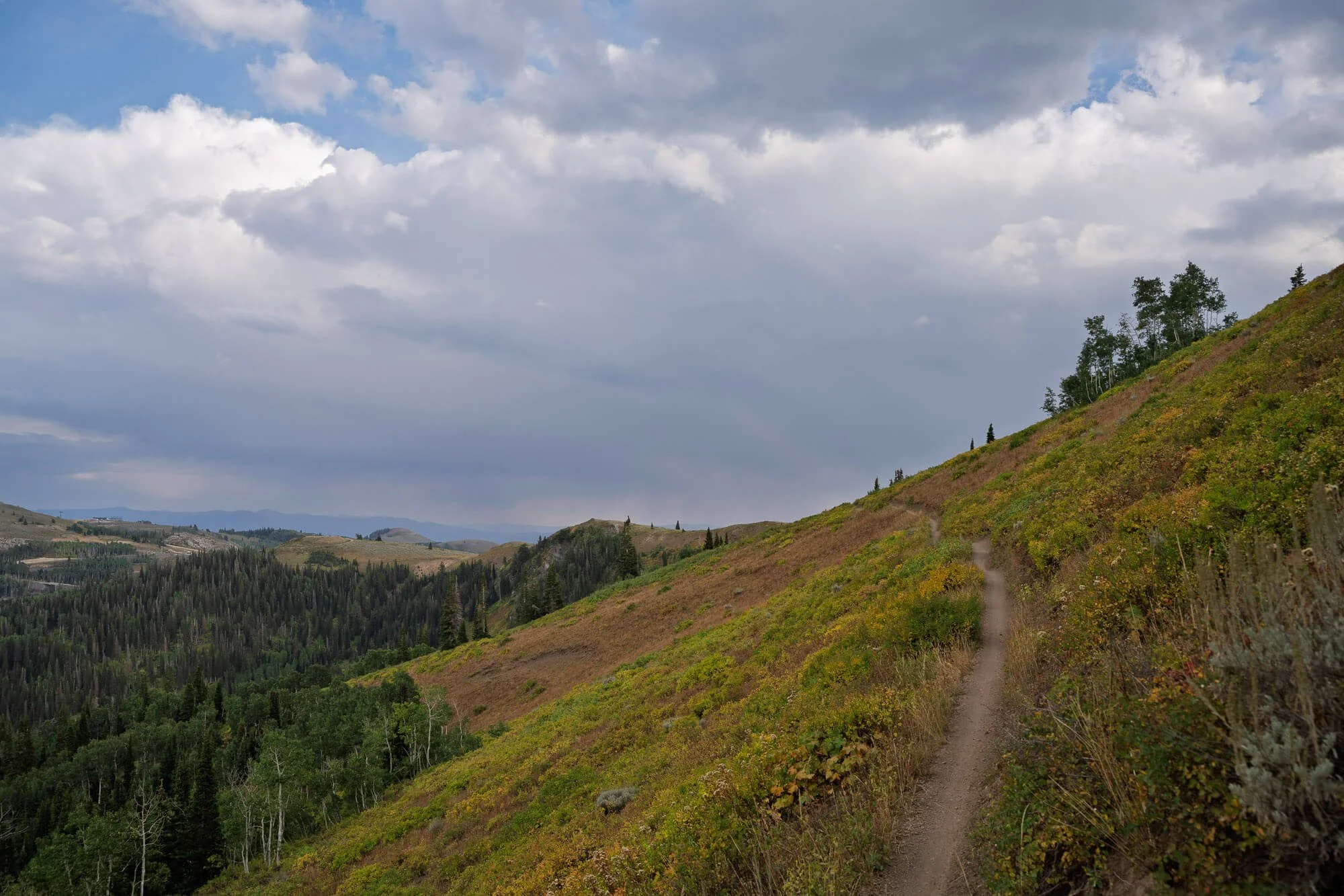 A narrow dirt trail running along a hillside covered in green vegetation, with a dense forest of pine trees in the valley below and a cloudy sky overhead.