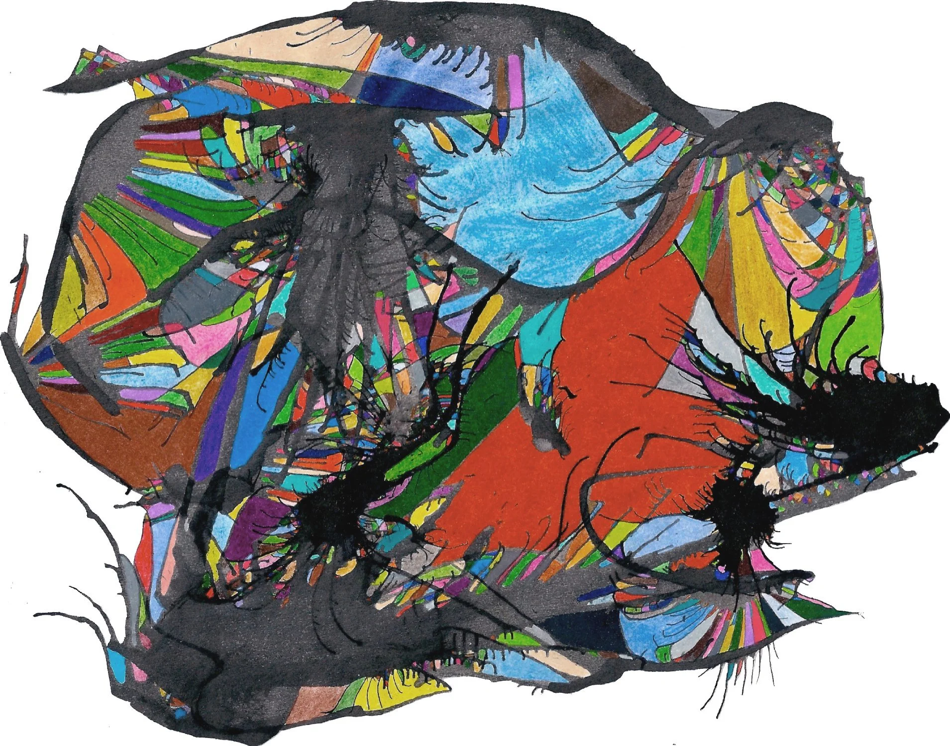 Snail 
Ink and colored pencil on paper — 9.75 x 8 inches 
2011