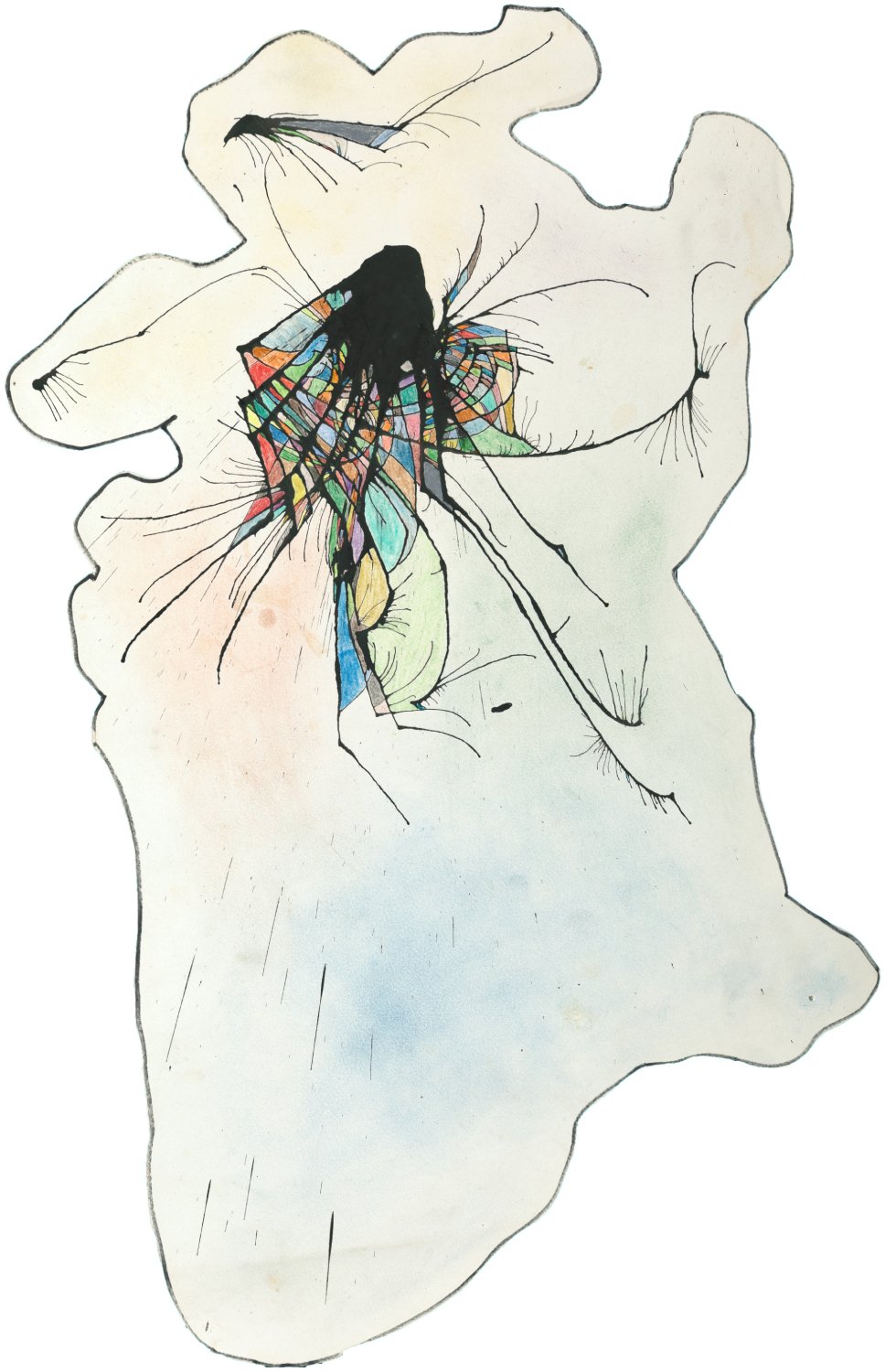 Birds #3 
Ink and colored pencil on paper — 19.5 x 13.5 inches 
2011