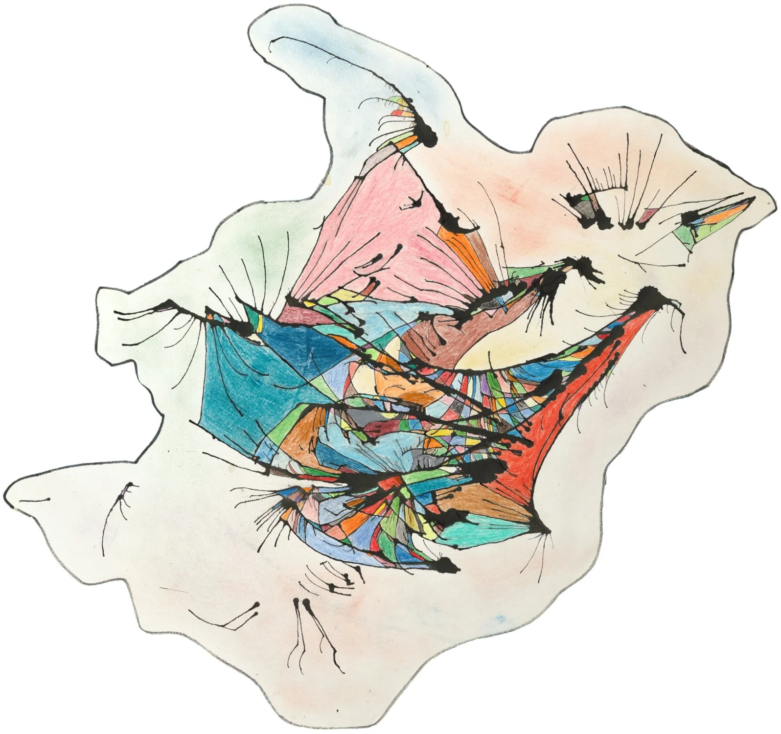 Birds #2 
Ink and colored pencil on paper — 18.5 x 15 inches 
2011