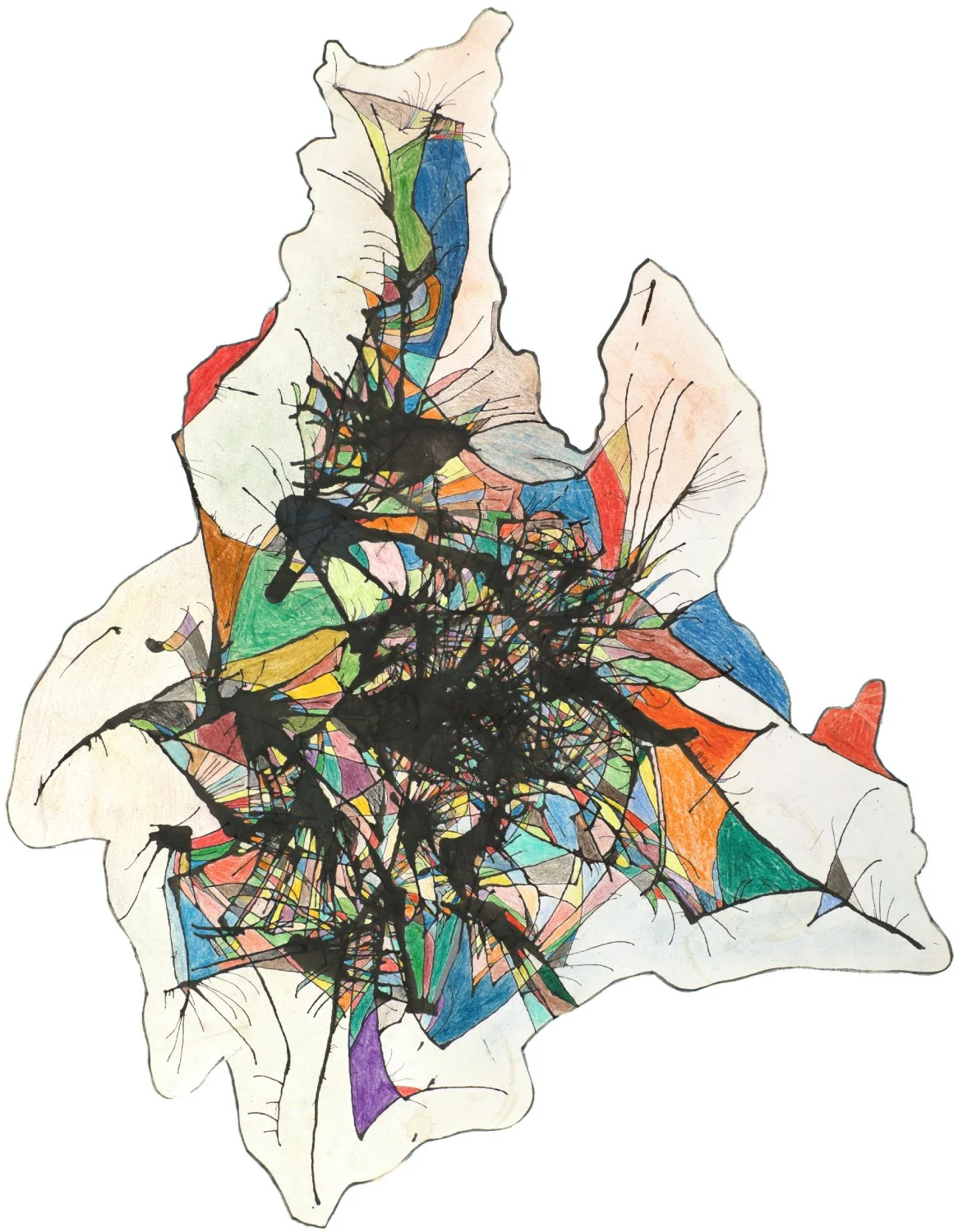 Birds #4 
Ink and colored pencil on paper — 19.25 x 15 inches 
2011