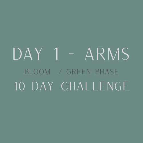 day 1 arms .png