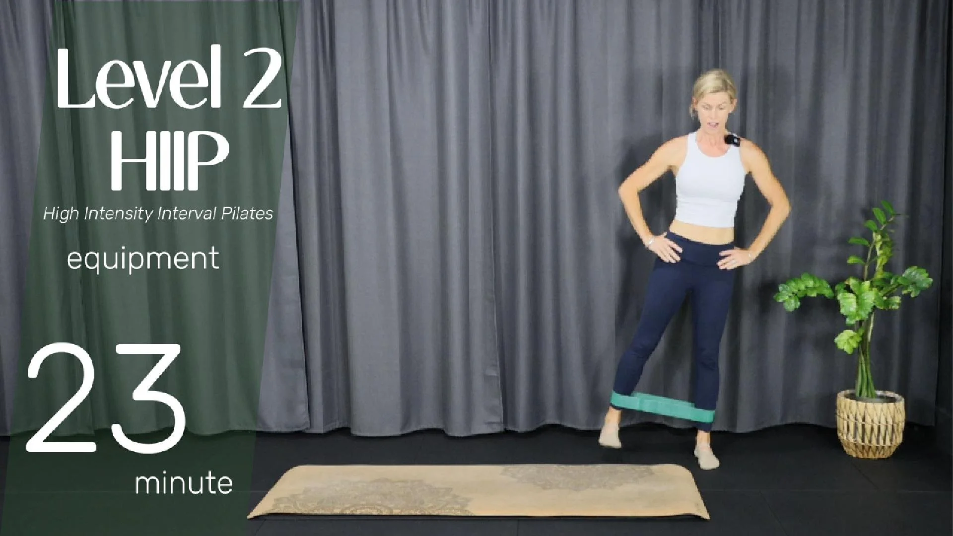 HIIP level 2 - equipment-Cover.jpg