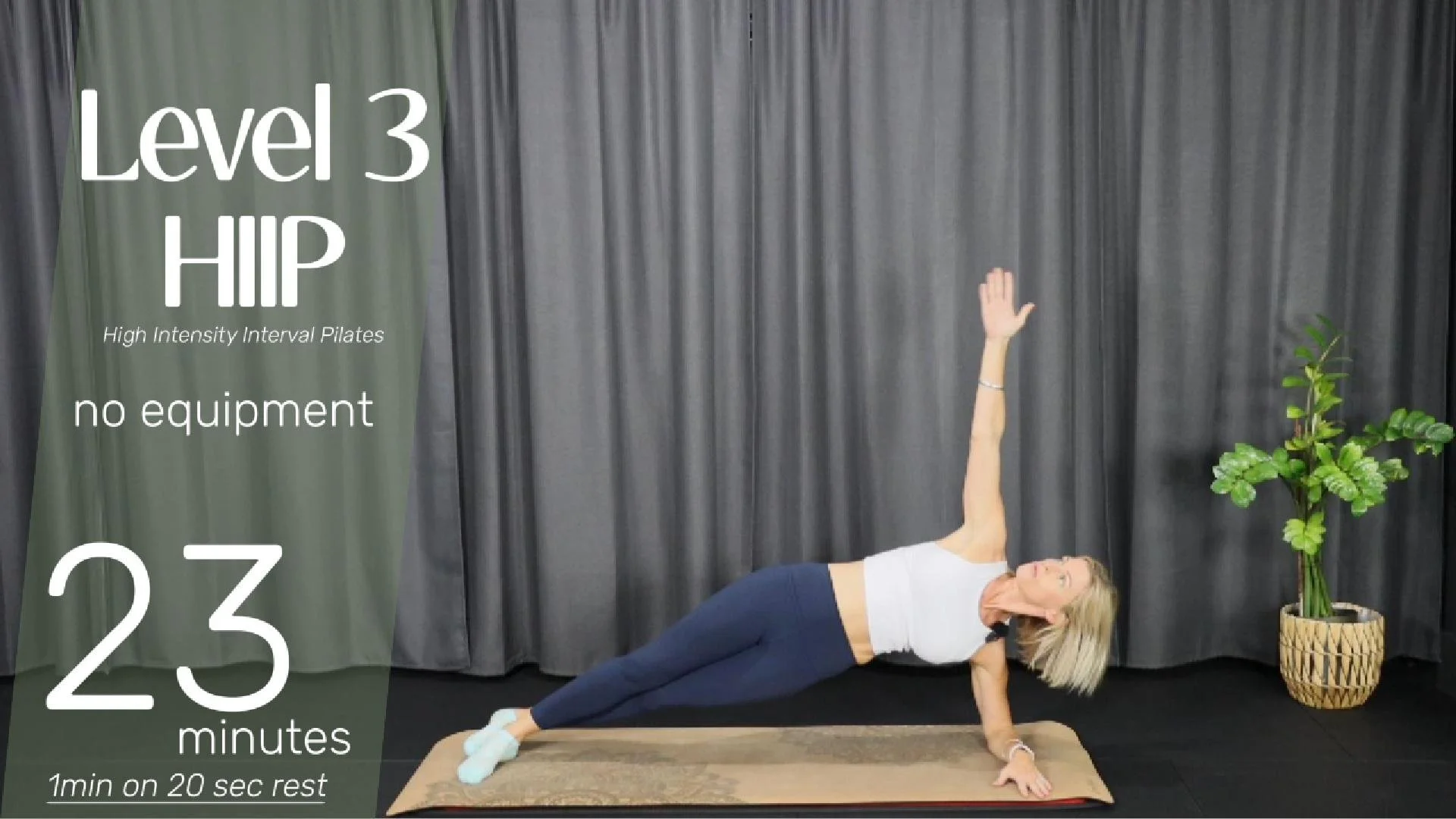 HIIP level 3-Cover.jpg