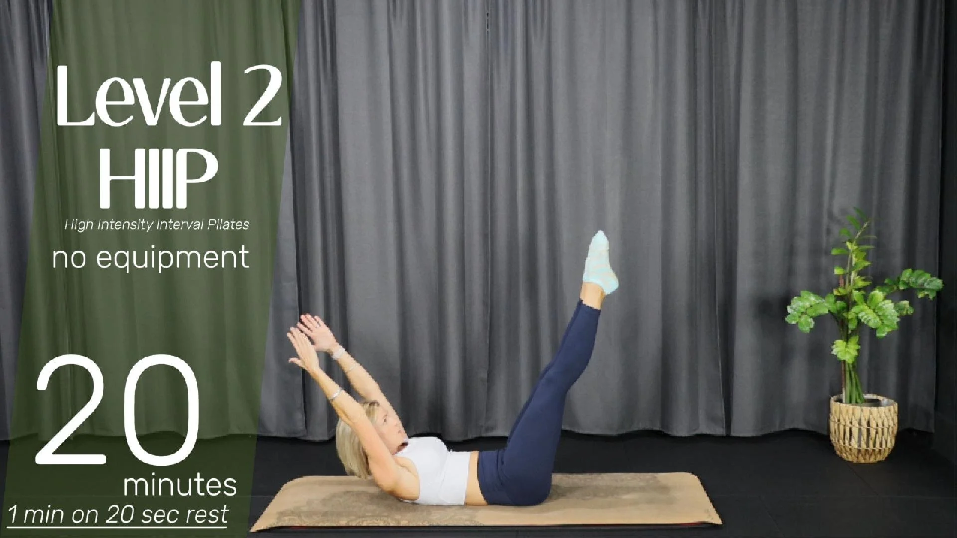 HIIP Lev 2-Cover.jpg