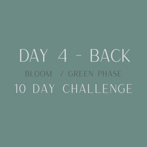 Day 4 back.png