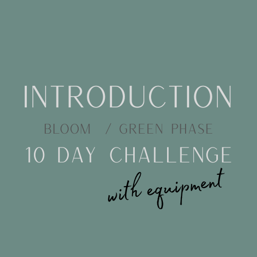 Bloom:green phase 10 day challenge w equip.png