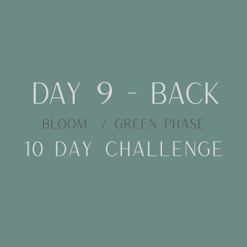 day 9 back green.png