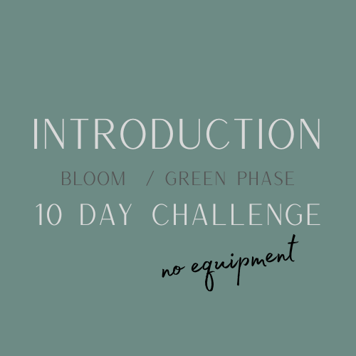 Bloom:Green phase challenge no equip.png