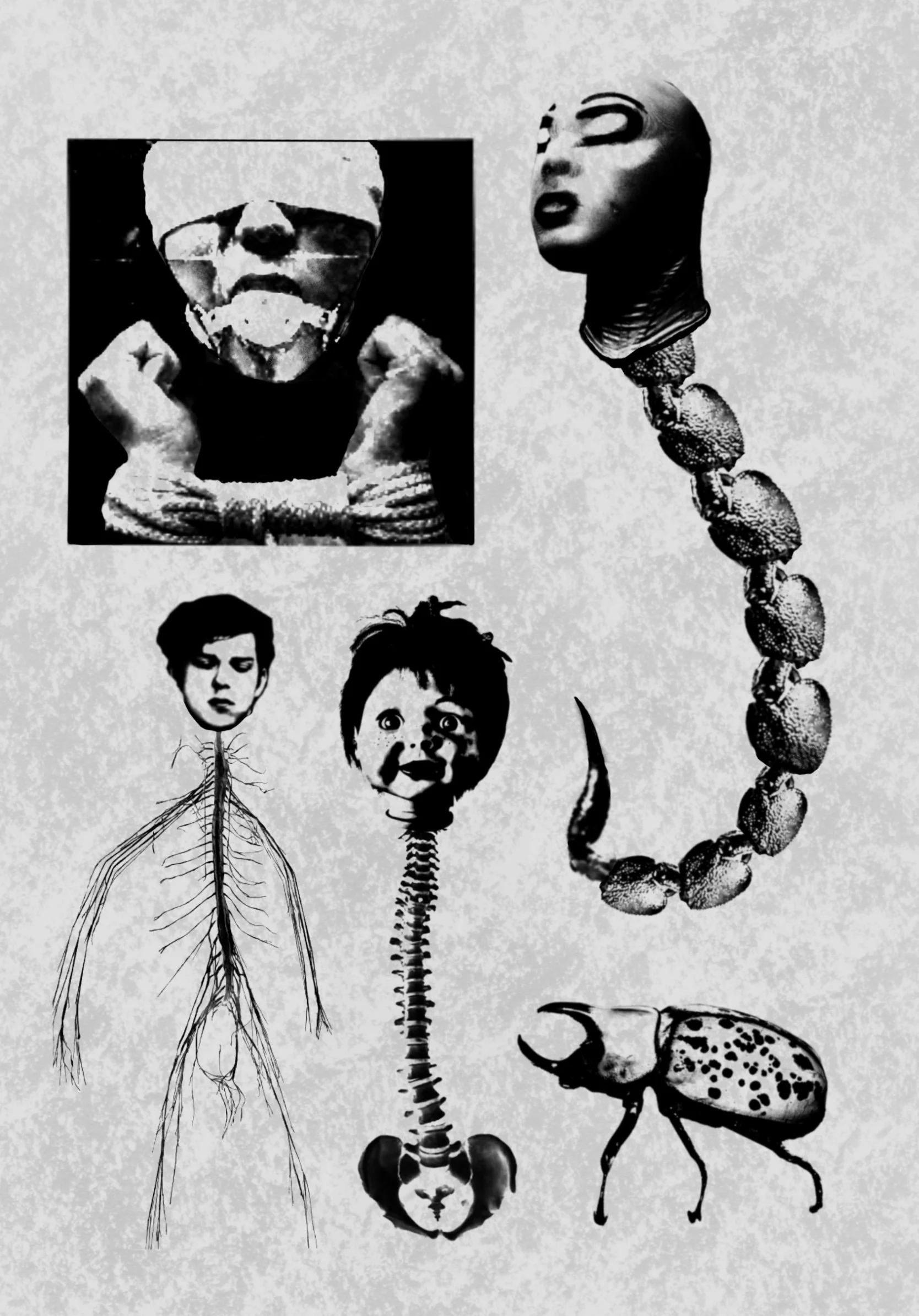 Untitled_Artwork (8).jpeg