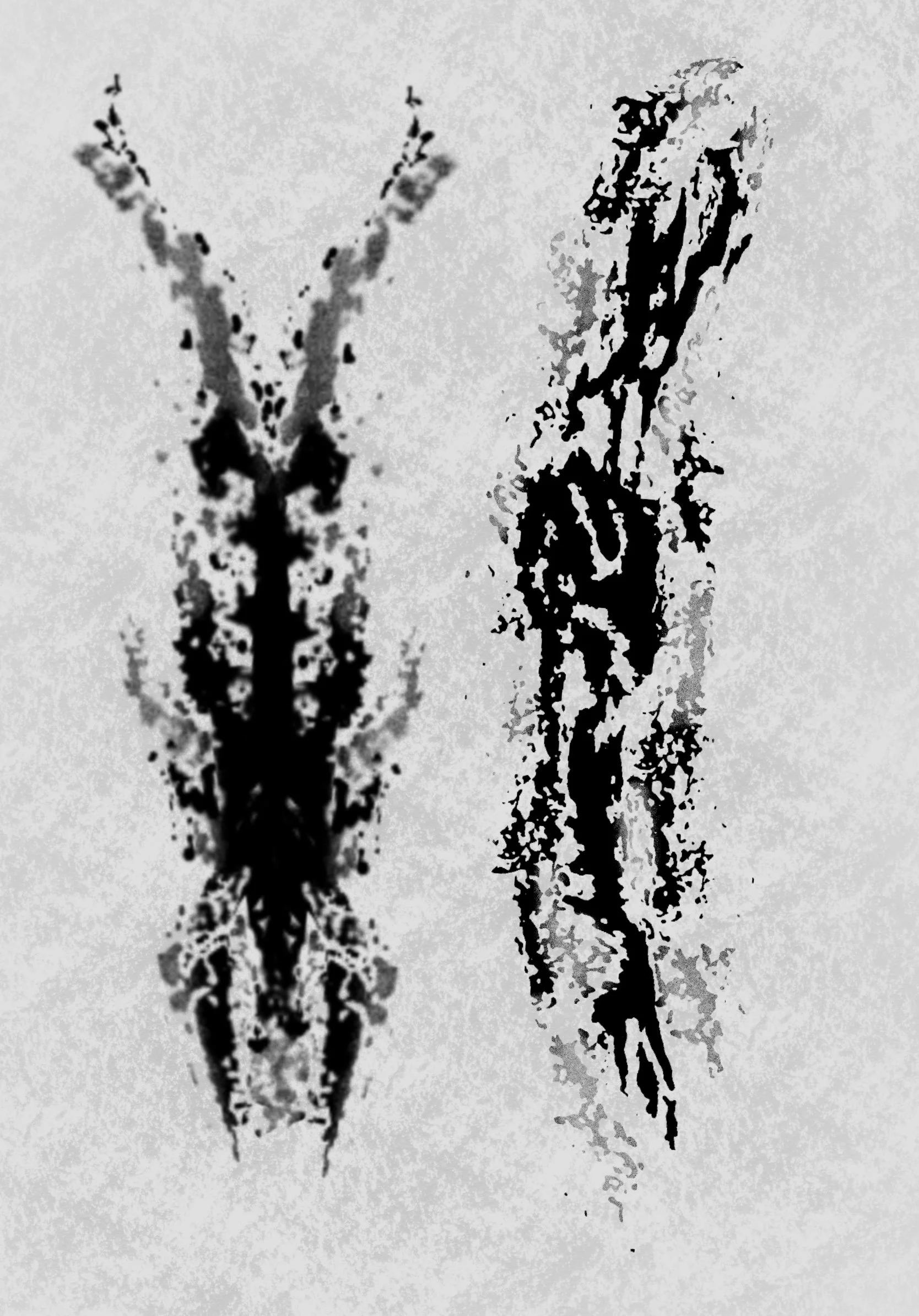 Untitled_Artwork 10 (2).JPG