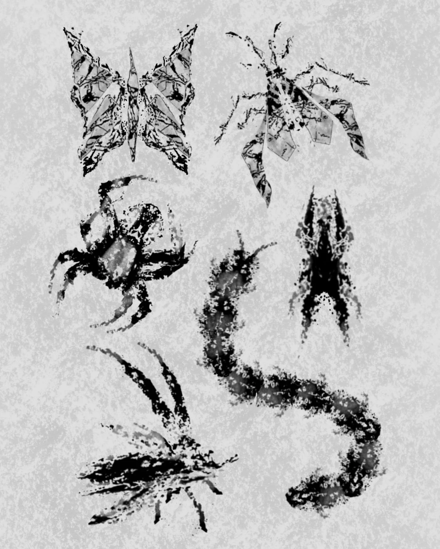 Untitled_Artwork (6).jpeg
