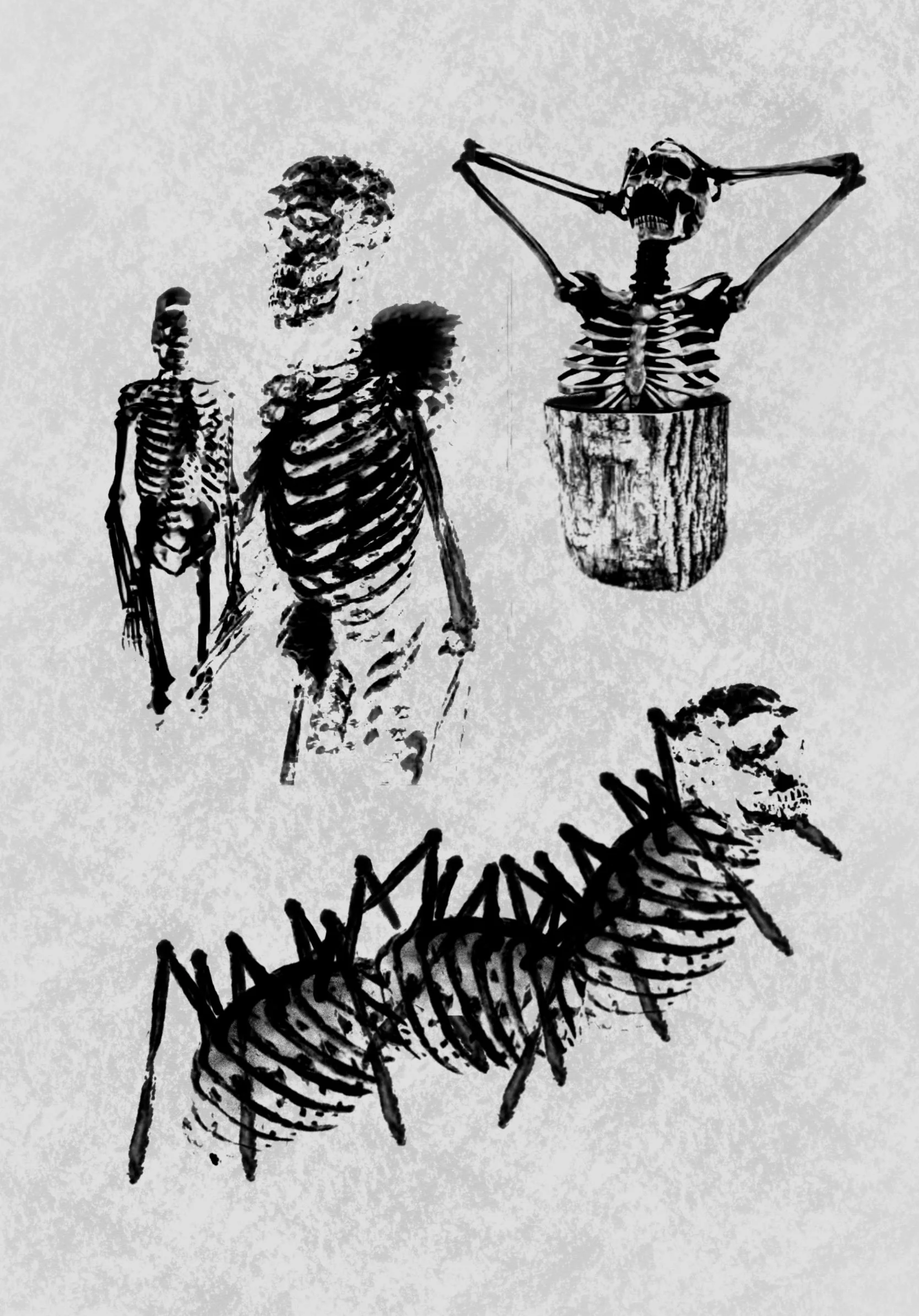 Untitled_Artwork (9).jpeg