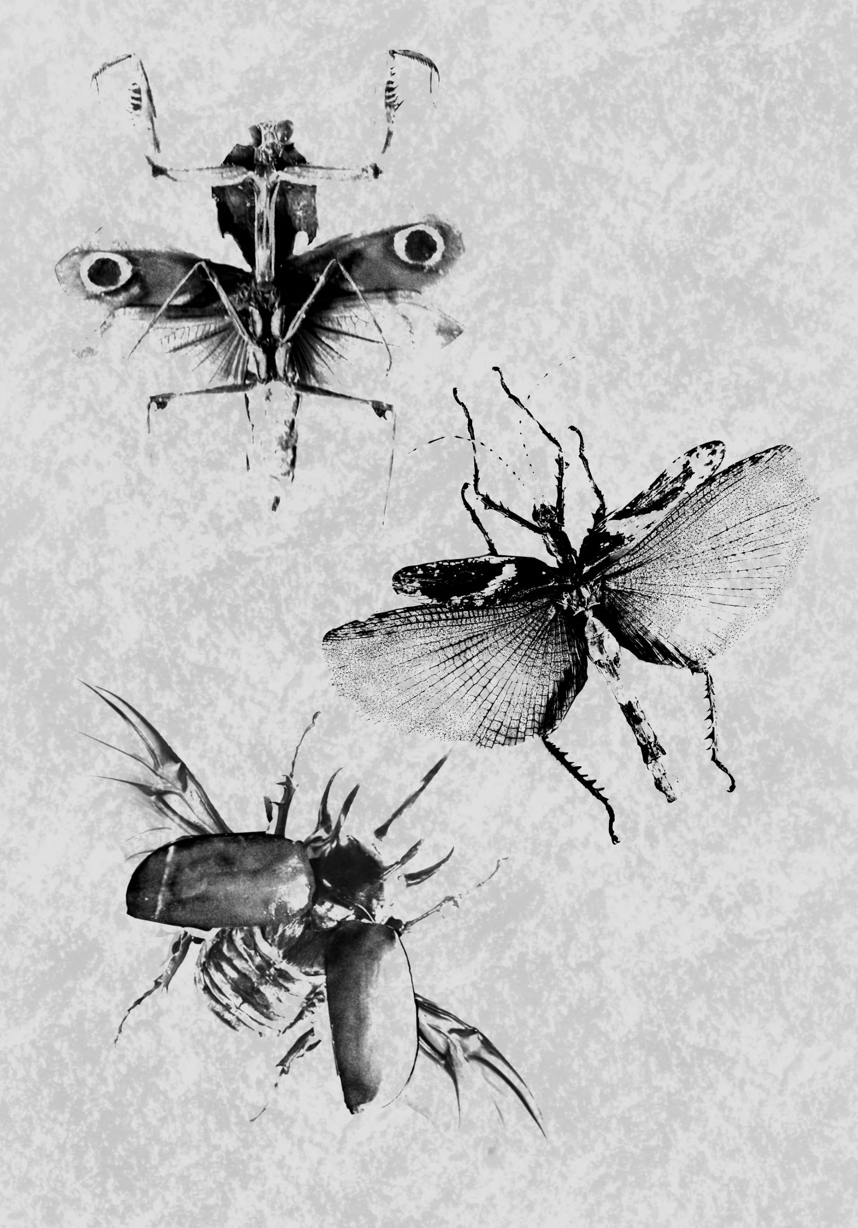 Untitled_Artwork (16).jpeg