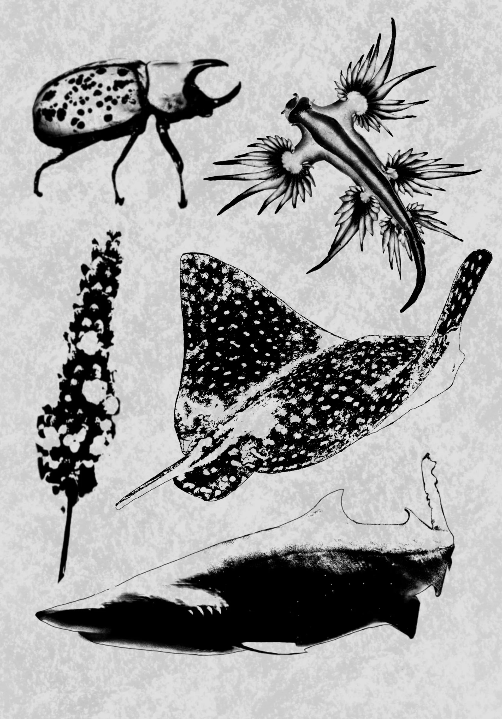 Untitled_Artwork (15).jpeg