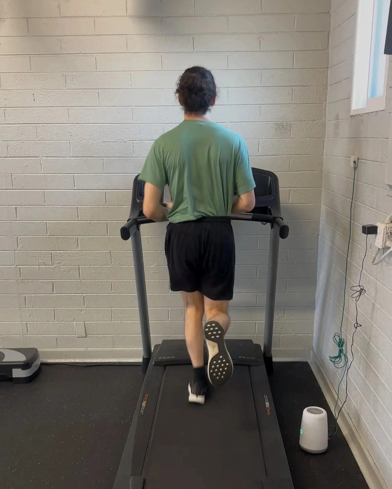 running analysis in Arcadia.