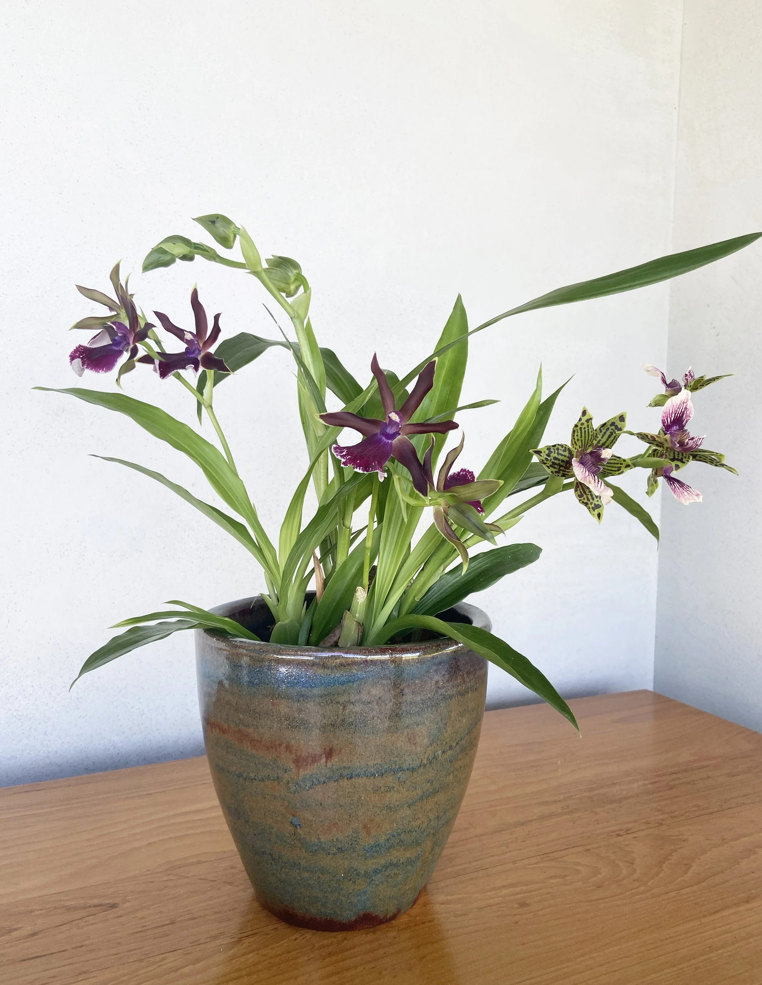 Carefully curated orchid installation by Kona Living Designs.