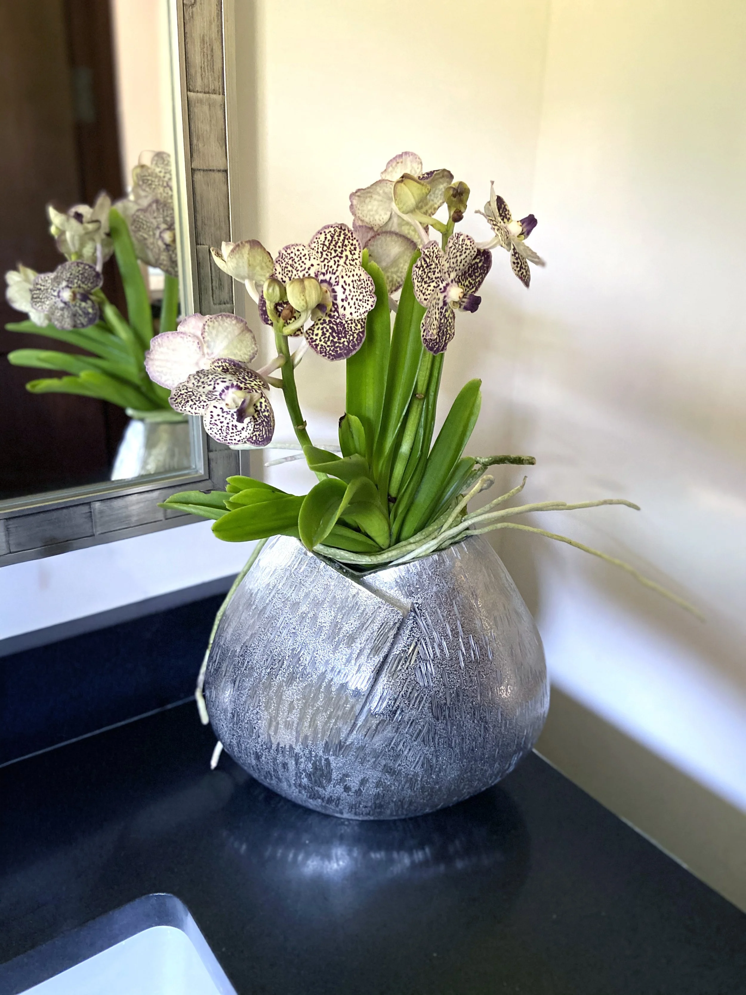 A bouquet of orchids with spotted purple and white petals, green leaves, and roots in a textured silver vase on a bathroom counter in a luxury home.