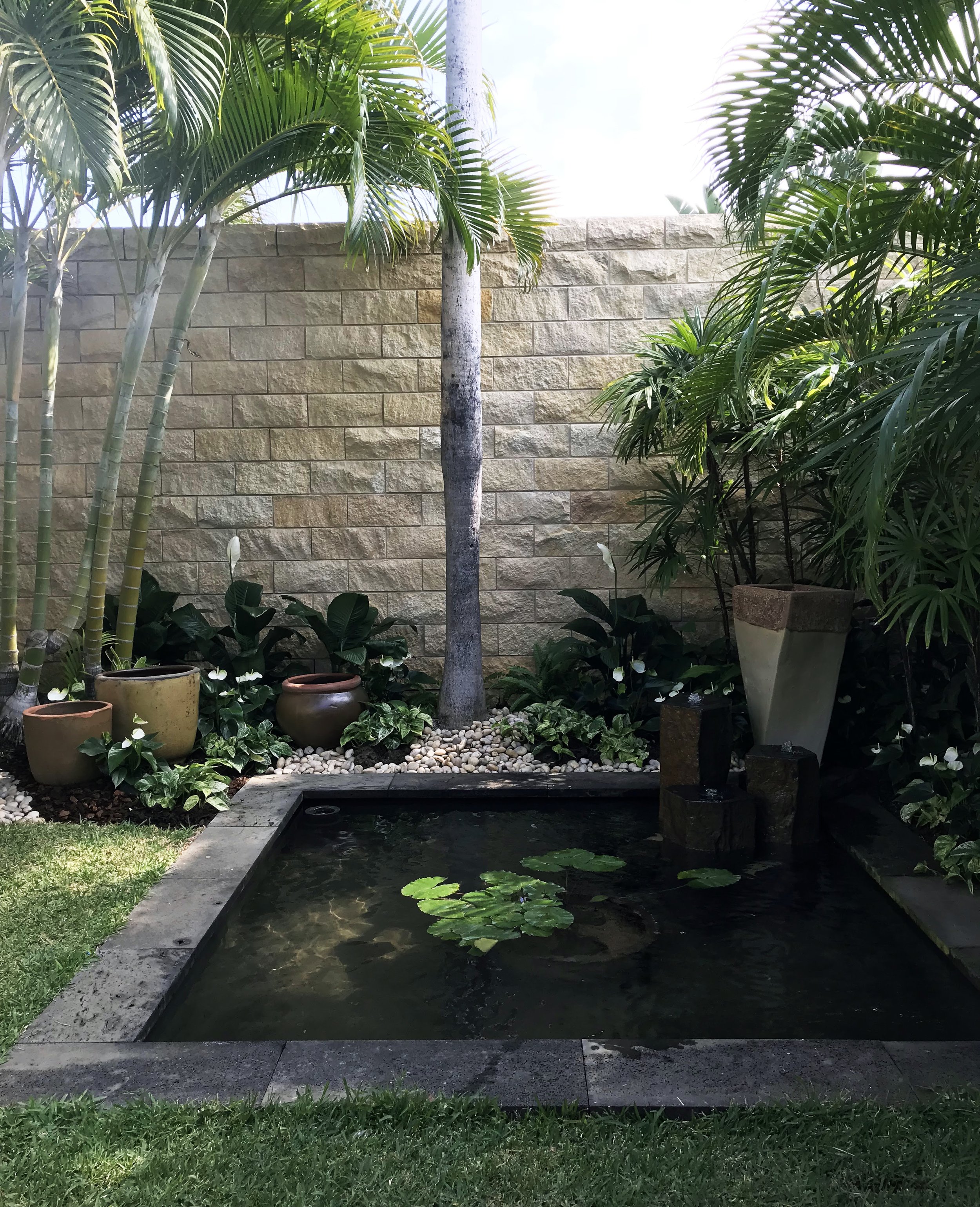 A tropical backyard garden with potted plants, a small pond with lily pads, a stone wall in the background, and a water fountain feature surrounded by lush green foliage.