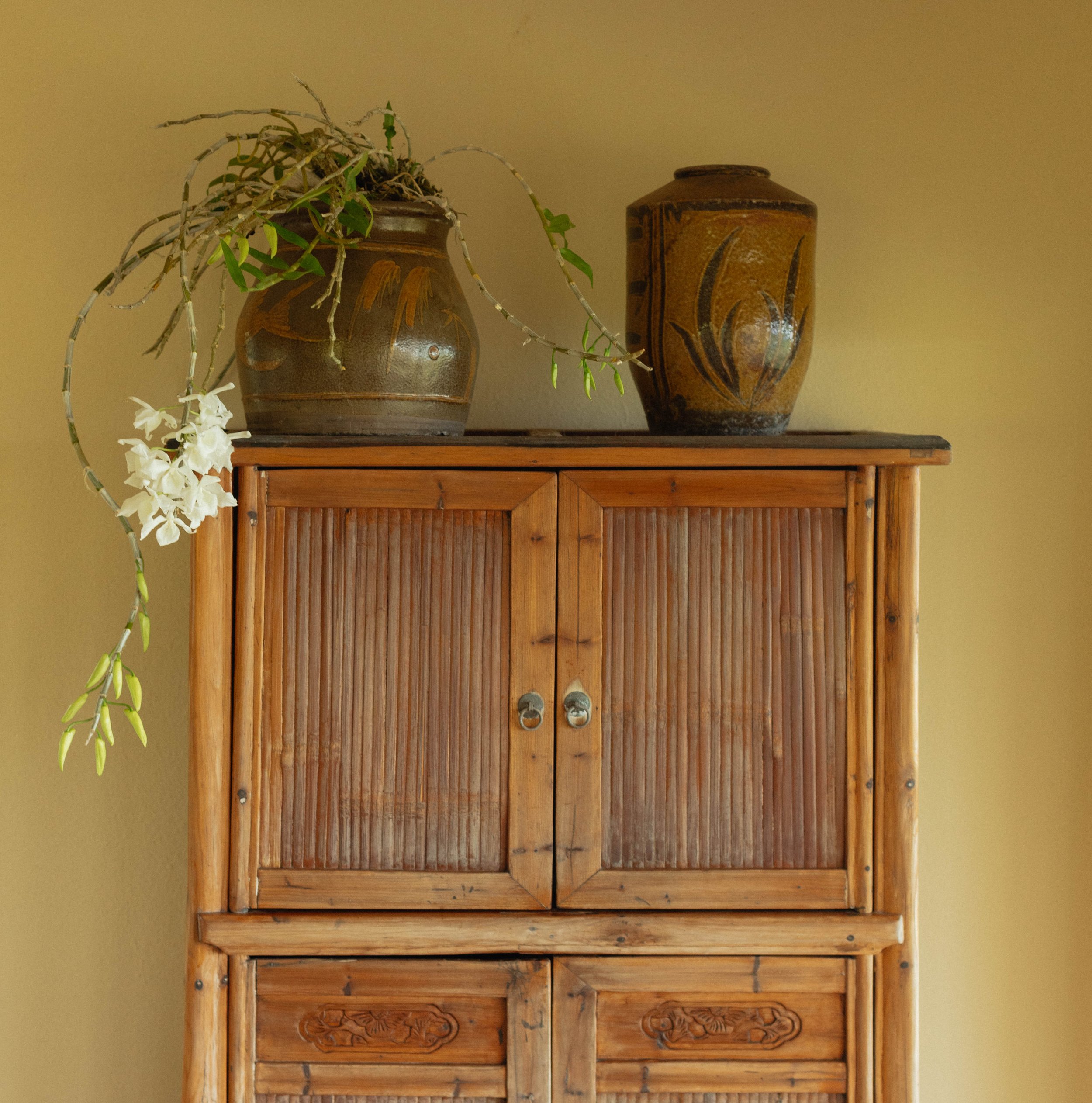 A potted orchid plant hanging gracefully from furniture, as a custom interior plant design. 
