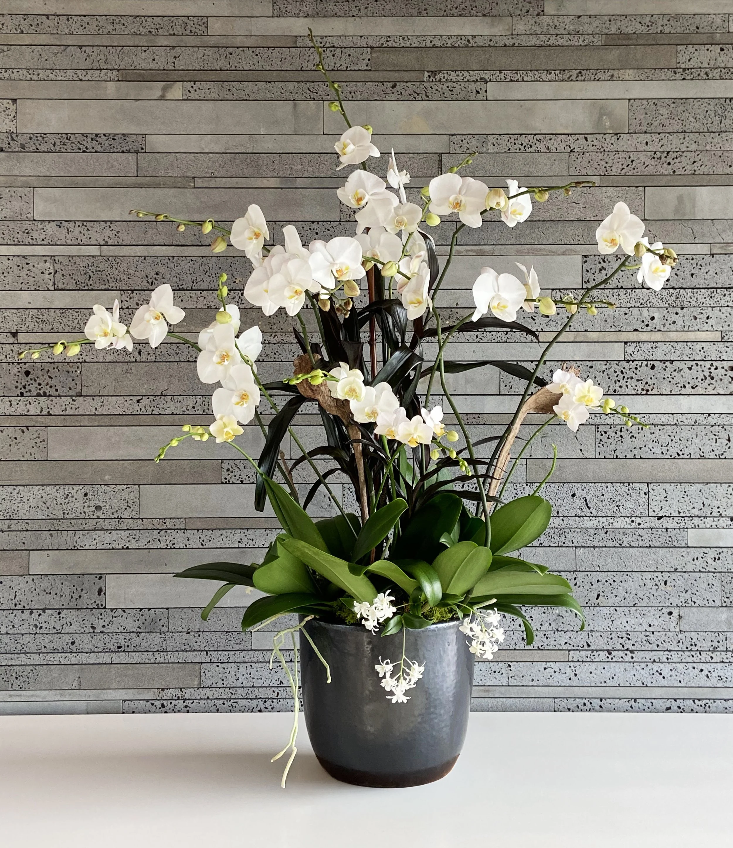 A large black vase with white orchids and green leaves, placed on a white surface against a textured gray stone wall background.