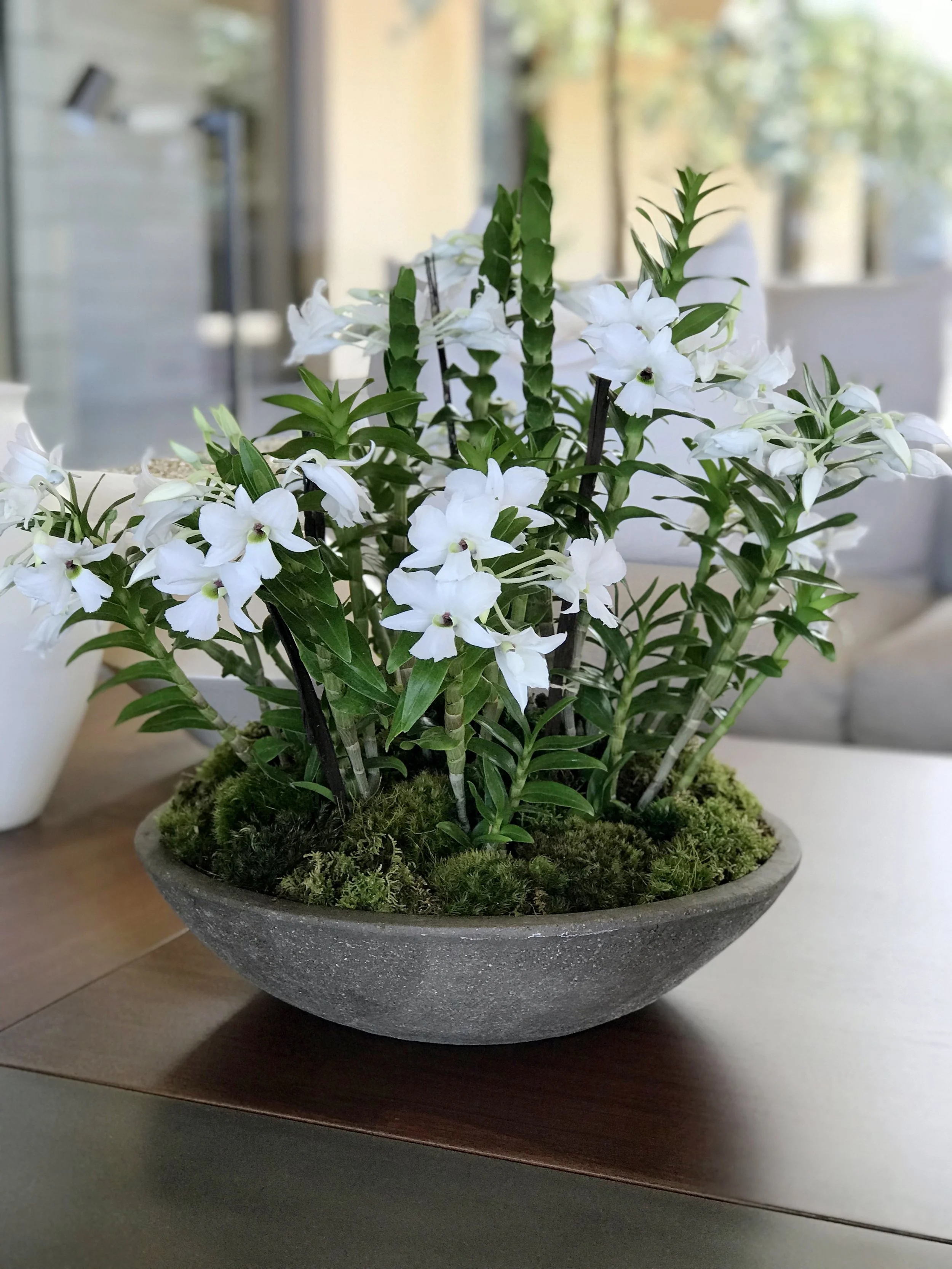 A custom orchid design in the living room at a private home.