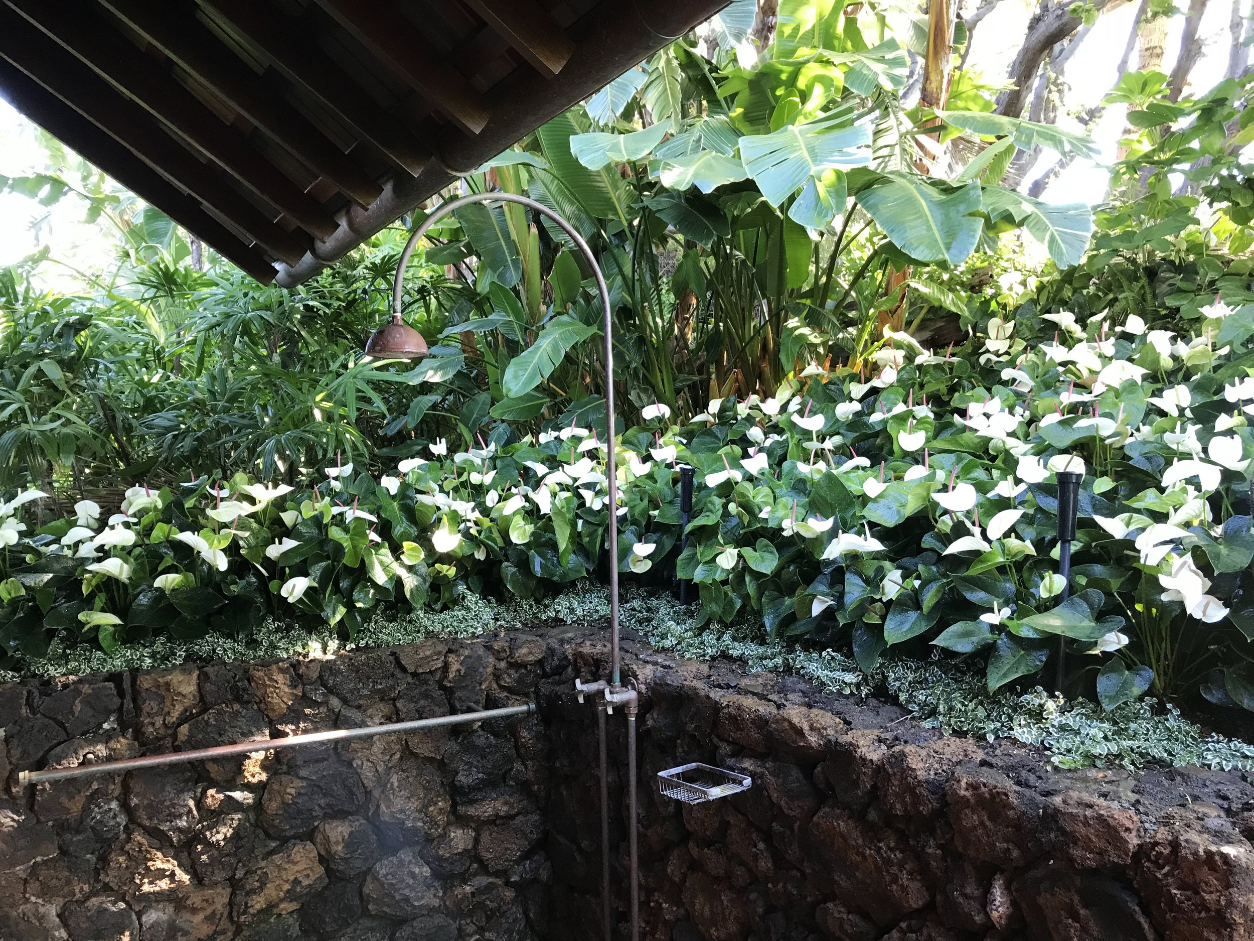 A lush and finely detailed garden scene with dense green foliage, white flowering plants, a stone border, around an outdoor shower.