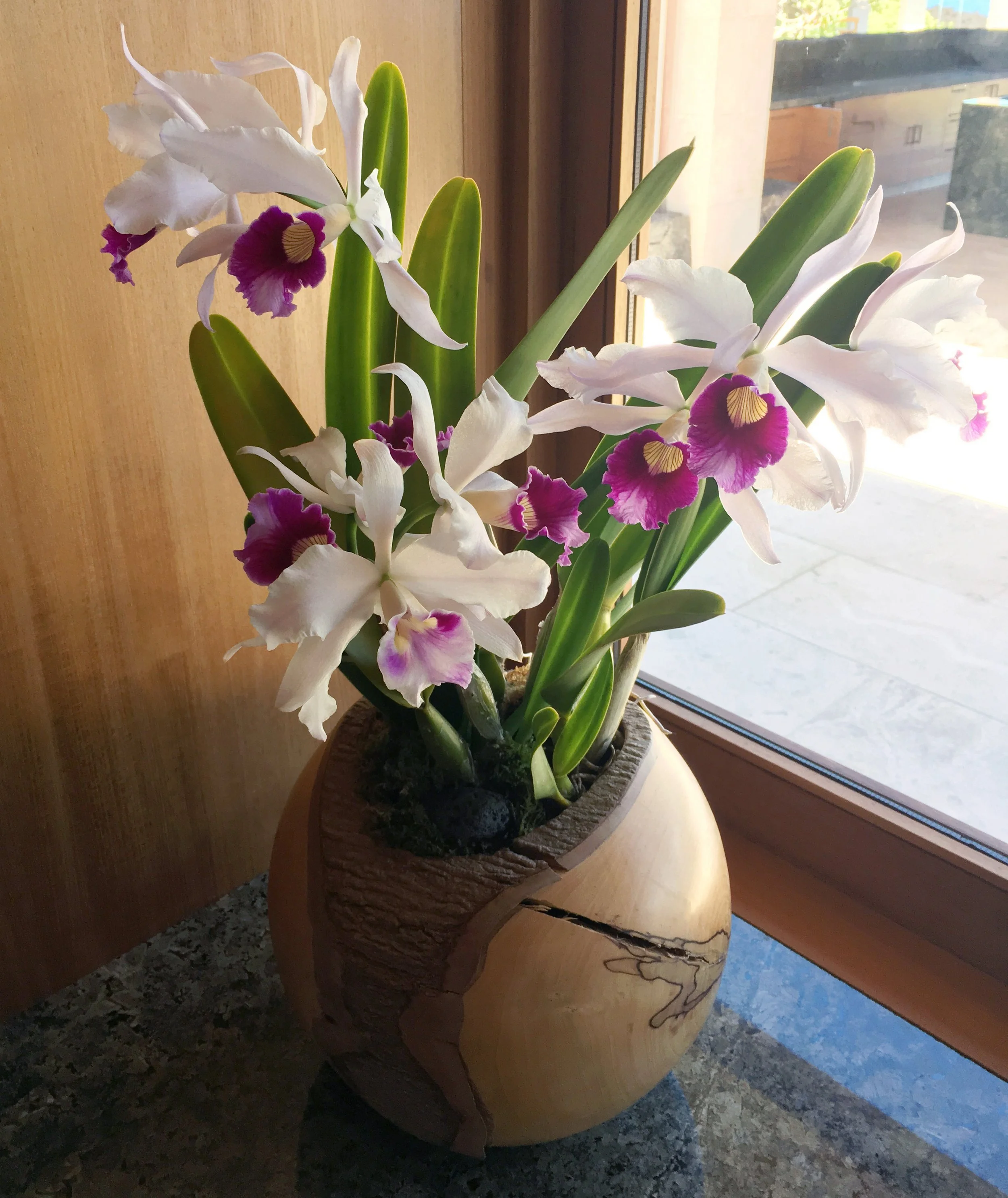 Elegant floral arrangements by Anne Meheula, servicing the Kona area of Hawaii Island.
