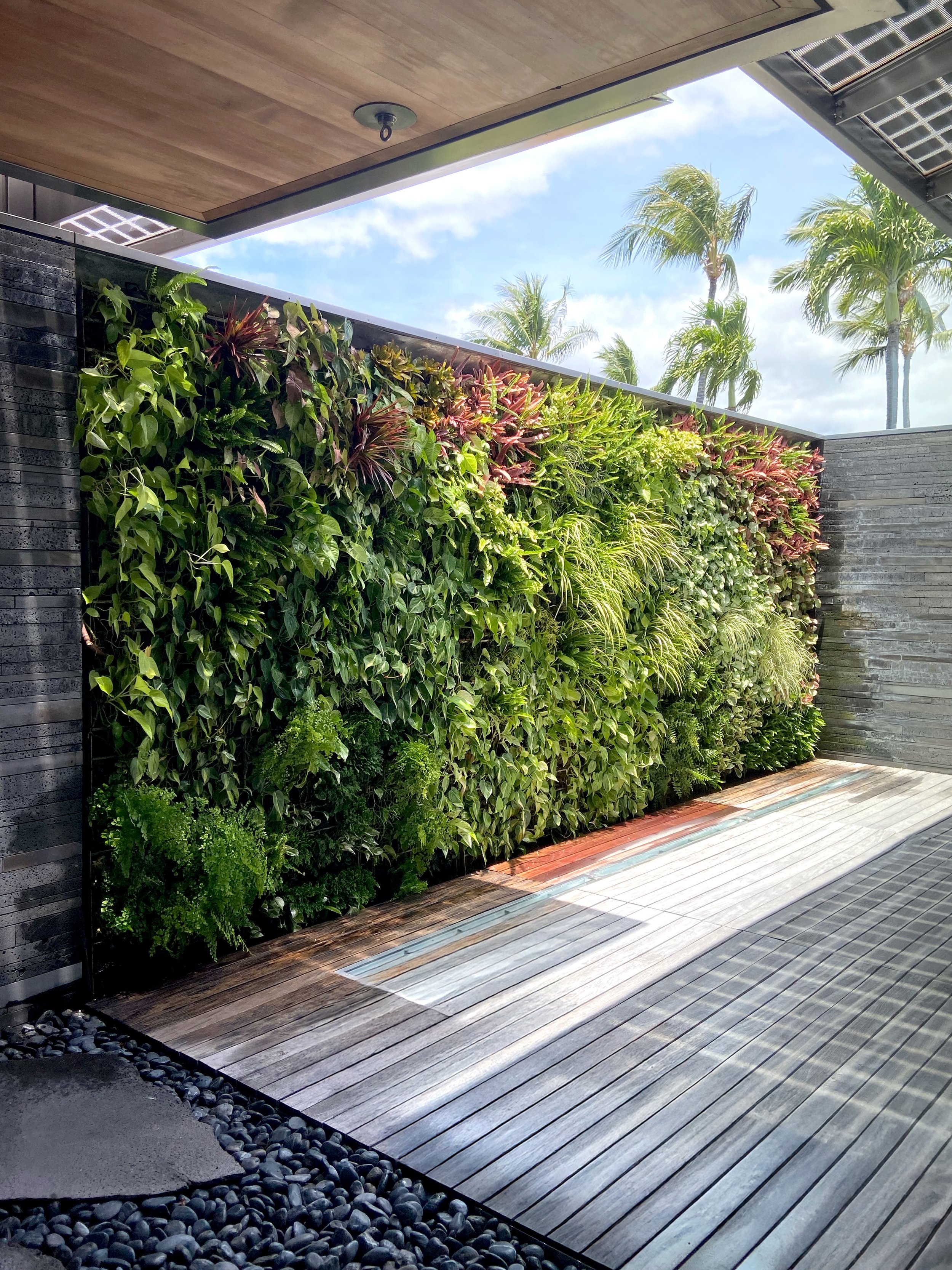 livingwall_3.jpg